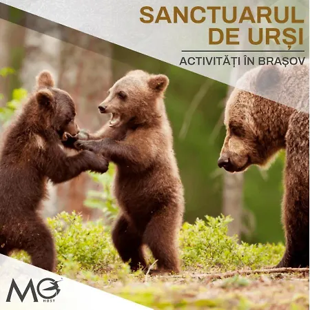 Mohost Noua 3 - Premium Escape With Balcony Views